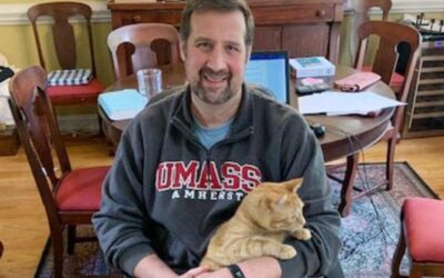 Telecommuting, Maurice the Cat and Workers’ Compensation